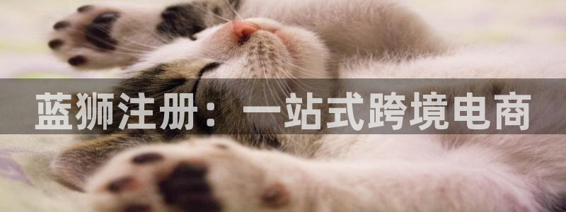 杏宇体育注册登录入口：蓝狮注册：一站式跨境电商