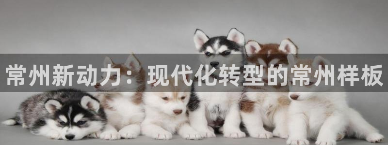 杏宇官网入口：常州新动力：现代化转型的常州样板