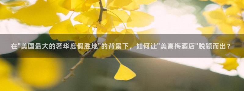 上海杏宇汽车电子有限公司：在\