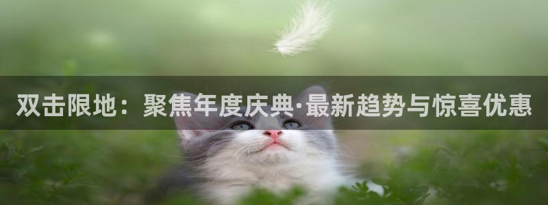 杏宇体育2官网入口