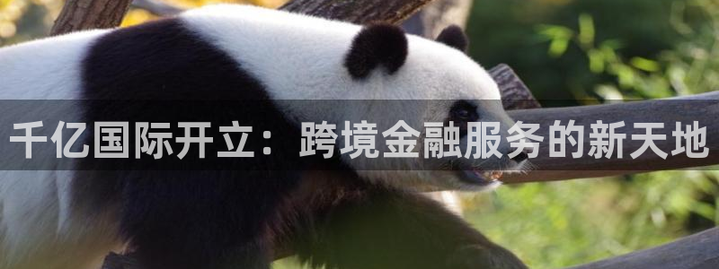 杏宇体育热门赛事有哪些：千亿国际开立：跨境金融服务的新天地