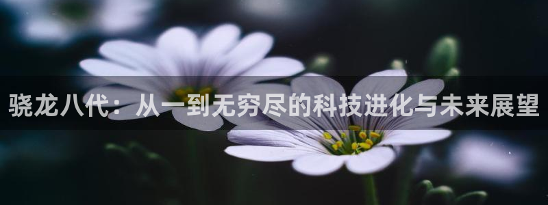 杏宇体育f开户：骁龙八代：从一到无穷尽的科技进化与未来展望