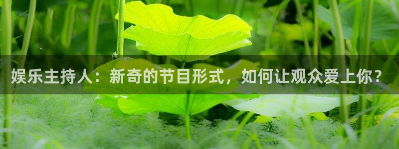 杏宇官网入口：娱乐主持人：新奇的节目形式，如何让观众爱上你？