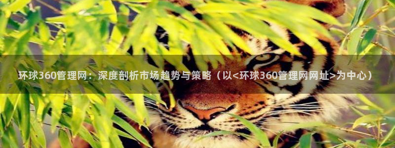 杏宇体育eon：环球360管理网：深度剖析市场趋势与策略（以<环球360管理网网址>为中心）