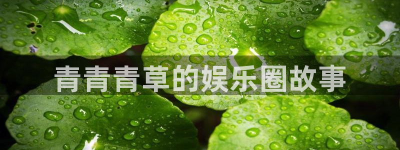 杏宇体育官网注册：青青青草的娱乐圈故事