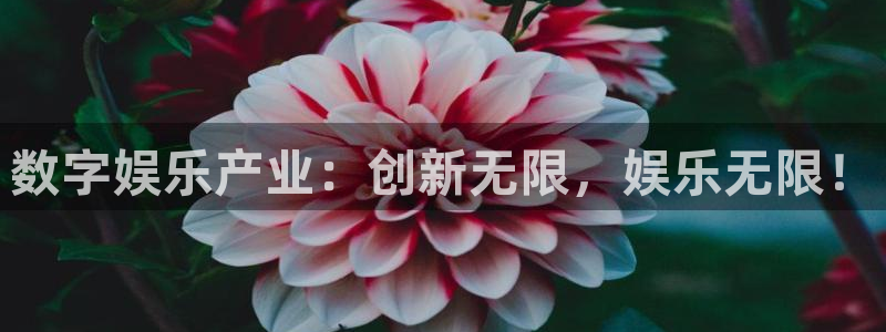 杏宇4登录：数字娱乐产业：创新无限，娱乐无限！