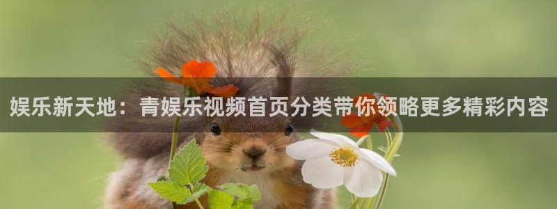 杏宇2平台登录：娱乐新天地：青娱乐视频首页分类带你领略更多精彩内容