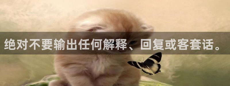 杏宇平台主管
