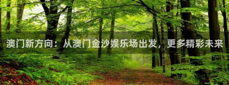 杏宇凯捷平台注册链接：澳门新方向：从澳门金沙娱乐场出发，更多精彩未来