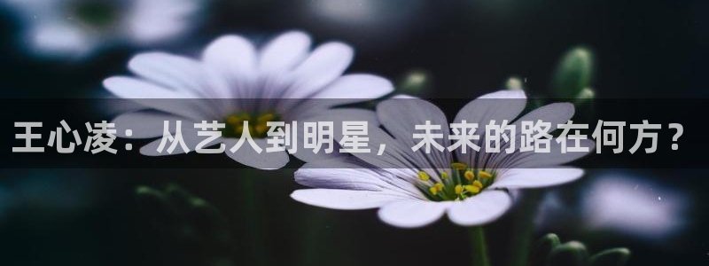 杏宇f凯捷注册：王心凌：从艺人到明星，未来的路在何方？