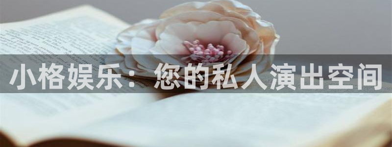 杏宇体育官网注册：小格娱乐：您的私人演出空间