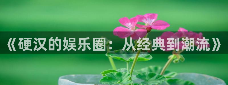杏宇平台注册：《硬汉的娱乐圈：从经典到潮流》