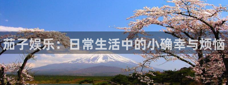 杏宇体育凯捷平台代理：茄子娱乐：日常生活中的小确幸与烦恼
