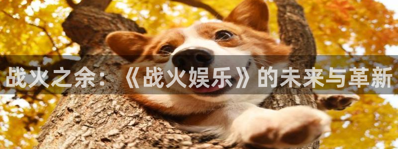 杏宇平台主管：战火之余：《战火娱乐》的未来与革新