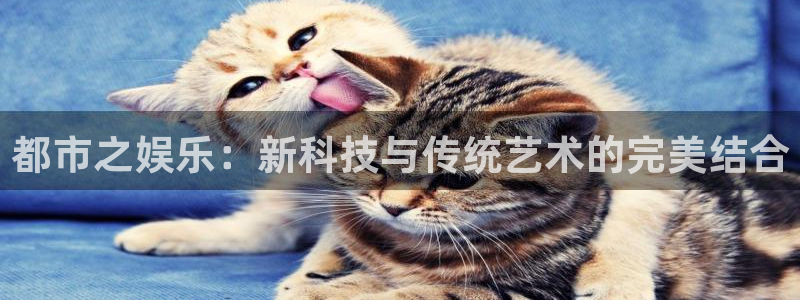 杏宇体育：都市之娱乐：新科技与传统艺术的完美结合