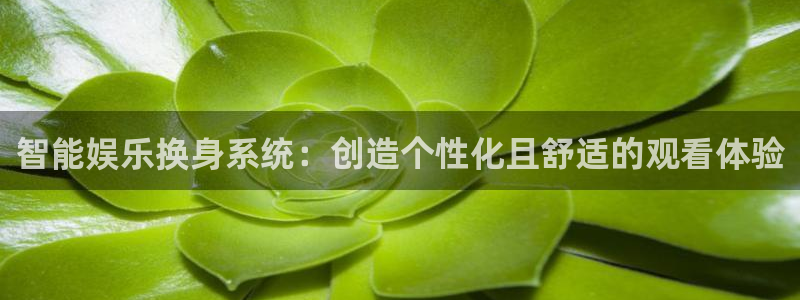 杏宇体育和杏耀是哪个公司的：智能娱乐换身系统：创造个性化且舒适的观看体验