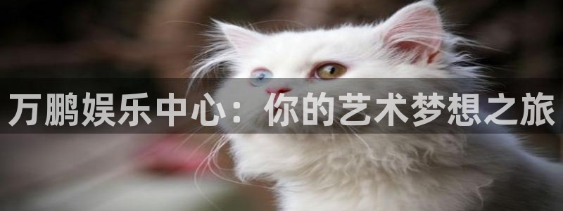 杏宇集团官网：万鹏娱乐中心：你的艺术梦想之旅