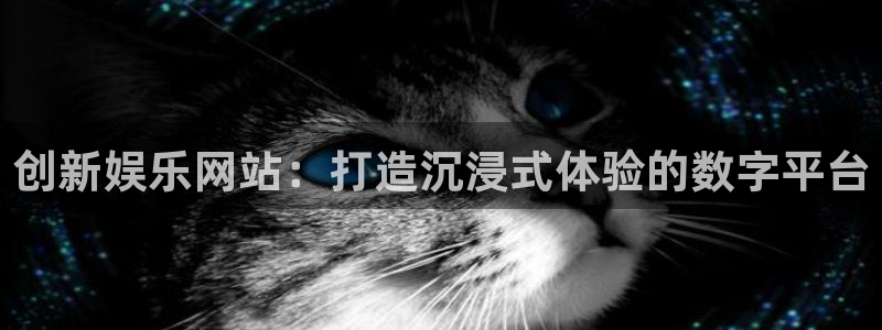 杏宇体育凯捷平台代理：创新娱乐网站：打造沉浸式体验的数字平台