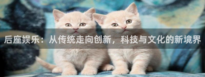 杏宇3登陆：后座娱乐：从传统走向创新，科技与文化的新境界