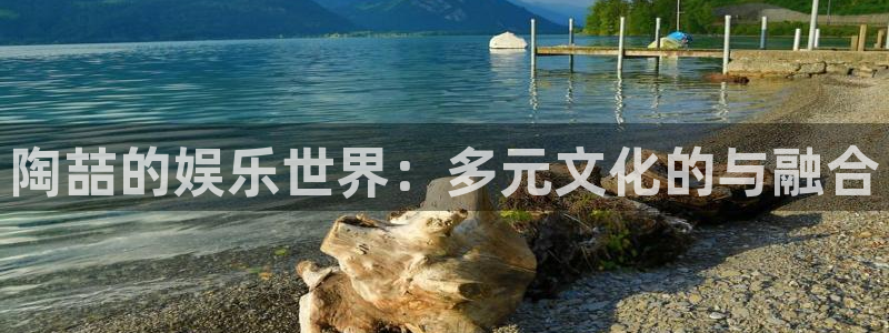 杏宇零能源集团：陶喆的娱乐世界：多元文化的与融合