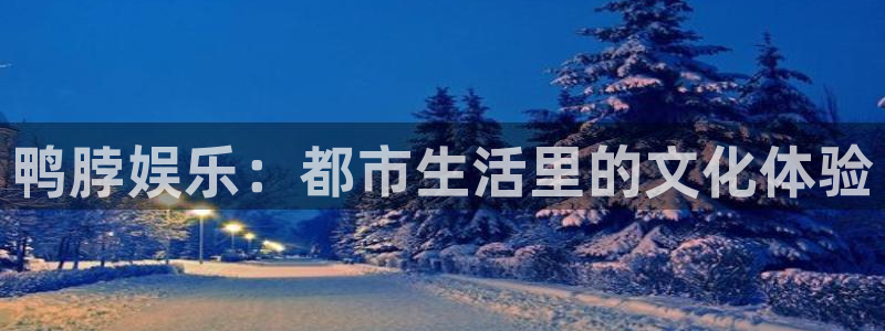 杏宇2平台：鸭脖娱乐：都市生活里的文化体验