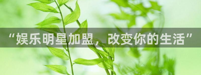 杏宇体育合法嘛：“娱乐明星加盟，改变你的生活”