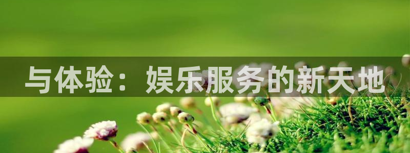 杏宇体育平台开号链接
