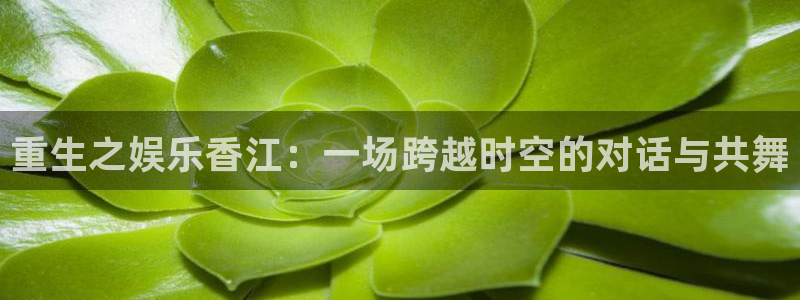 杏宇登录：重生之娱乐香江：一场跨越时空的对话与共舞