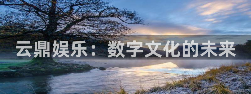 杏宇凯捷平台：云鼎娱乐：数字文化的未来