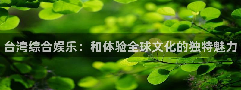 杏宇2登录地址：台湾综合娱乐：和体验全球文化的独特魅力