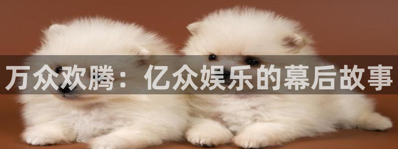 上海杏宇汽车电子有限公司：万众欢腾：亿众娱乐的幕后故事